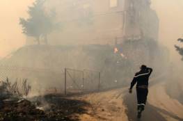 رئيس الوزراء الجزائري: ارتفاع قتلى حرائق الغابات إلى 42