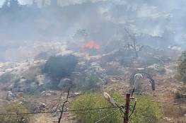 مستوطنون يحرقون أراضي مزروعة بأشجار الزيتون واللوز في حوارة