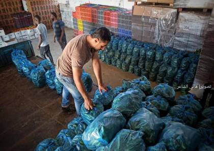 الزراعة: الاحتلال يسمح بتصدير الخضروات من غزة بدءًا من الغد