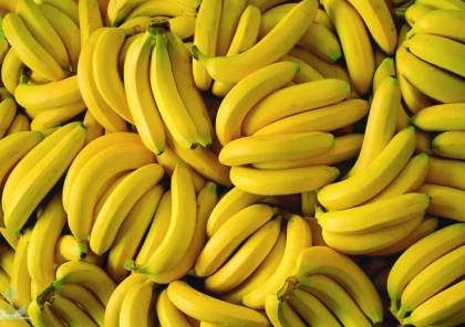الموز..فاكهة في طريقها للإنقراض!