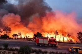 تجدد الحرائق في غابات شرق الجزائر