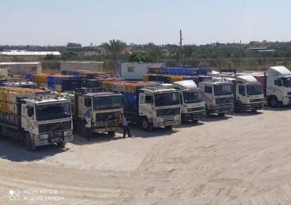 صور : إدخال عشرات الشاحنات المحملة بالمواد الغذائية لغزة