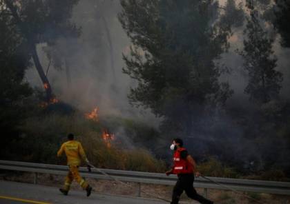 استمرار حرائق الغابات في إسرائيل ومصر والسلطة ترسلان مساعدات