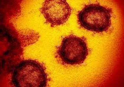 كندا تسجل أول إصابتين ب"السلالة المتحورة" لفيروس كورونا