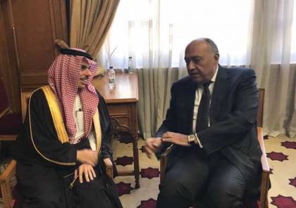 مصر والسعودية تصدران بيان مشترك حول القضية الفلسطينية والملاحة في الخليج