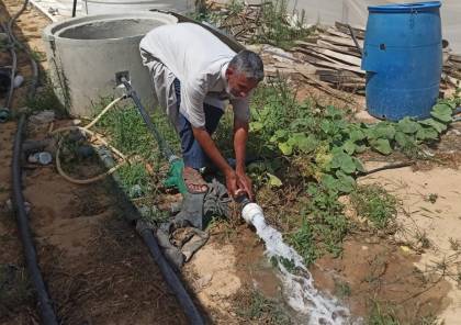 الإغاثة الزراعية بغزة تنقذ المزروعات الحدودية بالري المنخفض