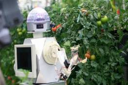 تطوير روبوتات لقطف الفاكهة ونقلها ذاتياً