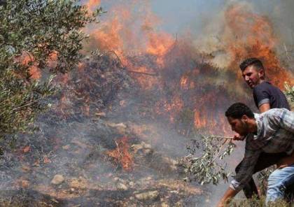 مستوطنون يضرمون النيران بأراضي مادما
