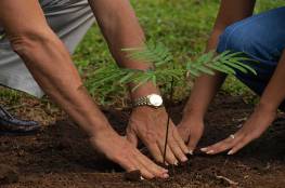 طولكرم تنظم فعالية لزراعة الأشجار في يوم النظافة العالمي 