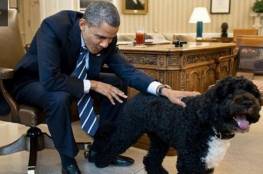 صور: كلب أوباما يعض فتاة تمت استضافتها بالبيت الأبيض 