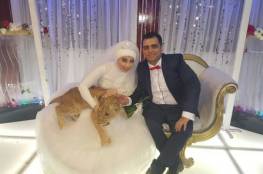 عروس مصرية تصر على حضور أسد ليلة زفافها (صور)