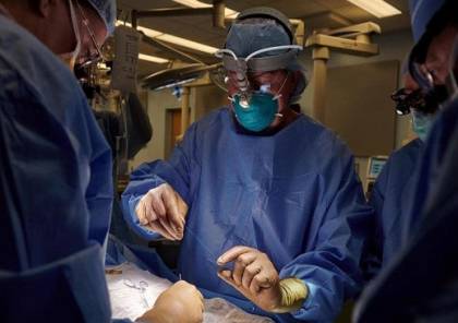 لأول مرة.. جراحون أمريكيون نجحوا بزراعة كلية خنزير في جسم إنسان