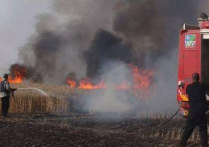 مستوطنون يحرقون عشرات الدونمات شرق نابلس