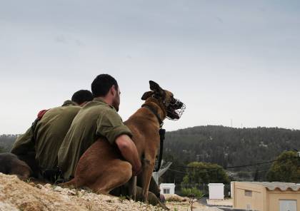 بالصور : تعرفوا على وحدة الكلاب المدرّبة في جيش الاحتلال