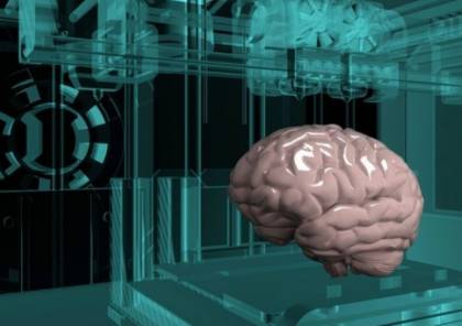 تقنية مبتكرة لاستنساخ المخ والرئتين