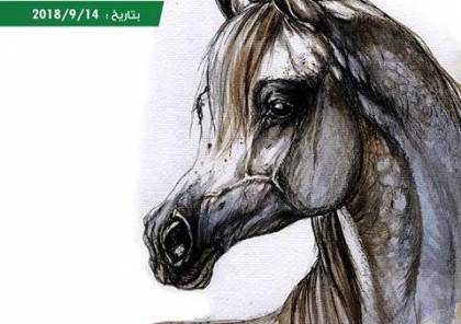 بطولة العودة لجمال الخيول العربية تنطلق غدا الجمعة في الخليل