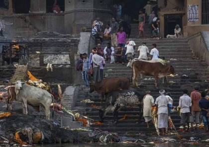 وفاة مسلم في الهند بالضرب المبرح بسبب "بقرة"