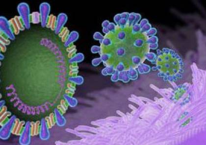 ارتفاع عدد الوفيات بفيروس "كورونا" بالسعودية لـ52 حالة