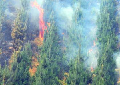 البرتغال: مقتل العشرات في حرائق الغابات