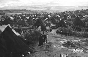 صور تاريخية للجوء