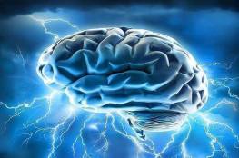 هل يرتبط الدماغ الأكبر حجما بالذكاء بالفعل؟