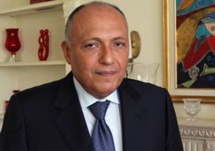 وزير الخارجية المصري يبحث مع جون كيرى وقف العدوان الإسرائيلى على غزة