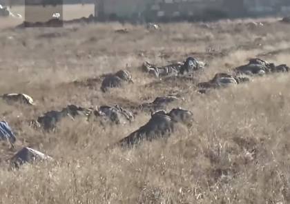 فيديو: مقتل العشرات من الجنود السوريين في كمين بالغوطة