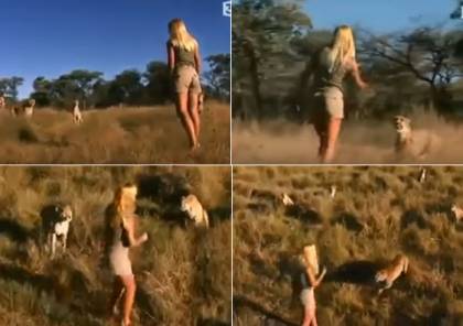 شاهد: فيديو مرعب لفتاة وسط مجموعة من النمور ..ماذا فعلوا معها ؟