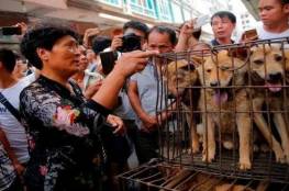 كورونا ..الصين تحظر رسميا تناول لحوم الكلاب والقطط 