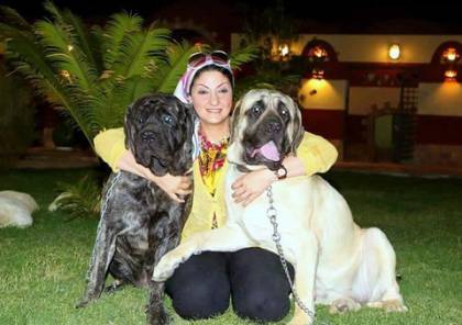 بالصور.. فندق 5 نجوم لاستضافة الكلاب في مصر