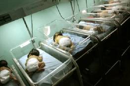 قطاع غزة يُسجّل 5141 مولودًا جديدًا خلال أغسطس