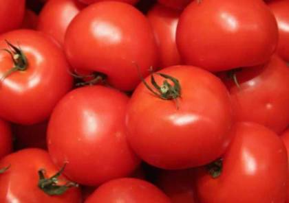 الطماطم.. هكذا يمكن أن تشكل خطرًا على صحتك