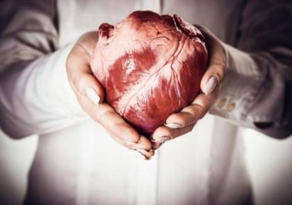 لماذا لا نسمع كثير عن سرطان القلب ؟