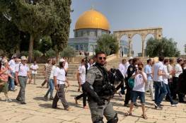 بحماية شرطة الاحتلال .. مستوطنون ينفذون اقتحامات واسعة للمسجد الأقصى