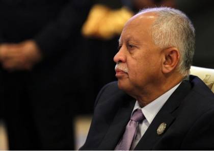 الرياض : وزير الخارجية اليمني: مشكلة اليمن هي صالح وليس الحوثيون