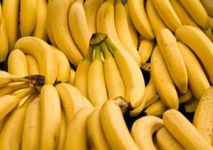 " الموز" يتفوق على "الفياجرا" في العلاقة الحميمة