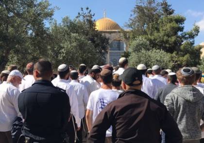 القدس: مستوطنون يجددون اقتحاماتهم للمسجد الأقصى