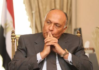 مصر تعلق على تصريحات تركيا حول "تبادل السفيرين"