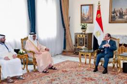 الرئيس السيسى يستقبل وزير خارجية الإمارات 