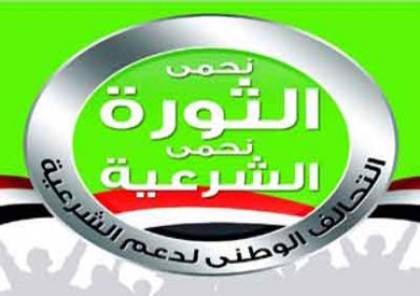 صفوت عبد الغني: ظهور بعض الجماعات المسلحة أربك المشهد وأضعف التحالف