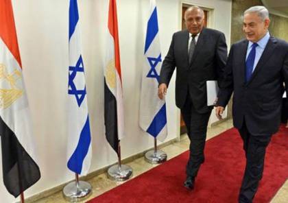 مصر تطالب باستئناف التسوية الفلسطينية- الإسرائيلية