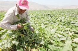 الاتحاد الأوروبي يقدم مساعدات مالية للمزارعين بالضفة الغربية