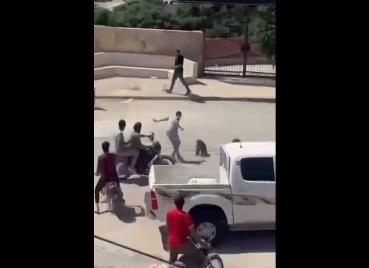 قرود ثلاثة تثير الهلع في شوارع سلقين بريف إدلب السوري