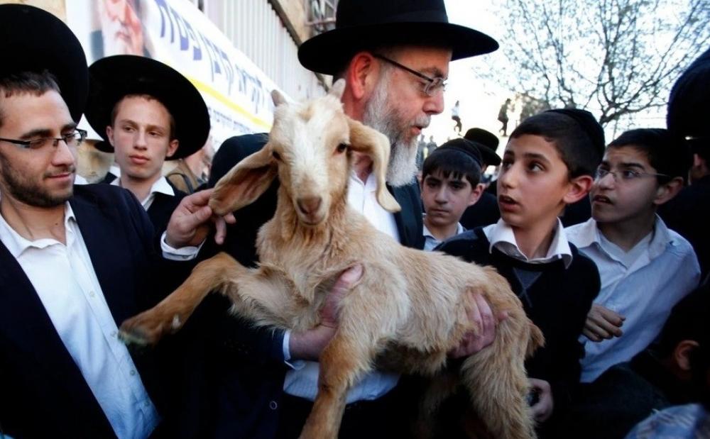 فلسطين – فلسطين تحذر من دعوات إسرائيلية لذبح الأضاحي في المسجد الأقصى