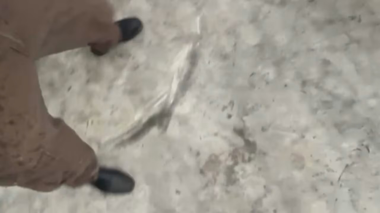 فلسطين – إيران.. مطر أسود يتساقط على طهران