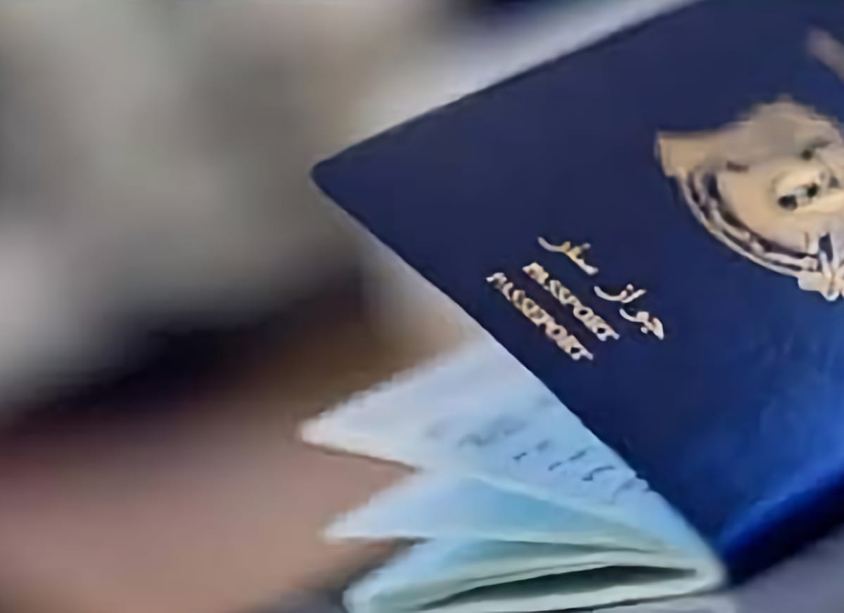 صورة مشهورة من سوق الحميدية تثير جدلاً في جواز السفر البيومتري السوري