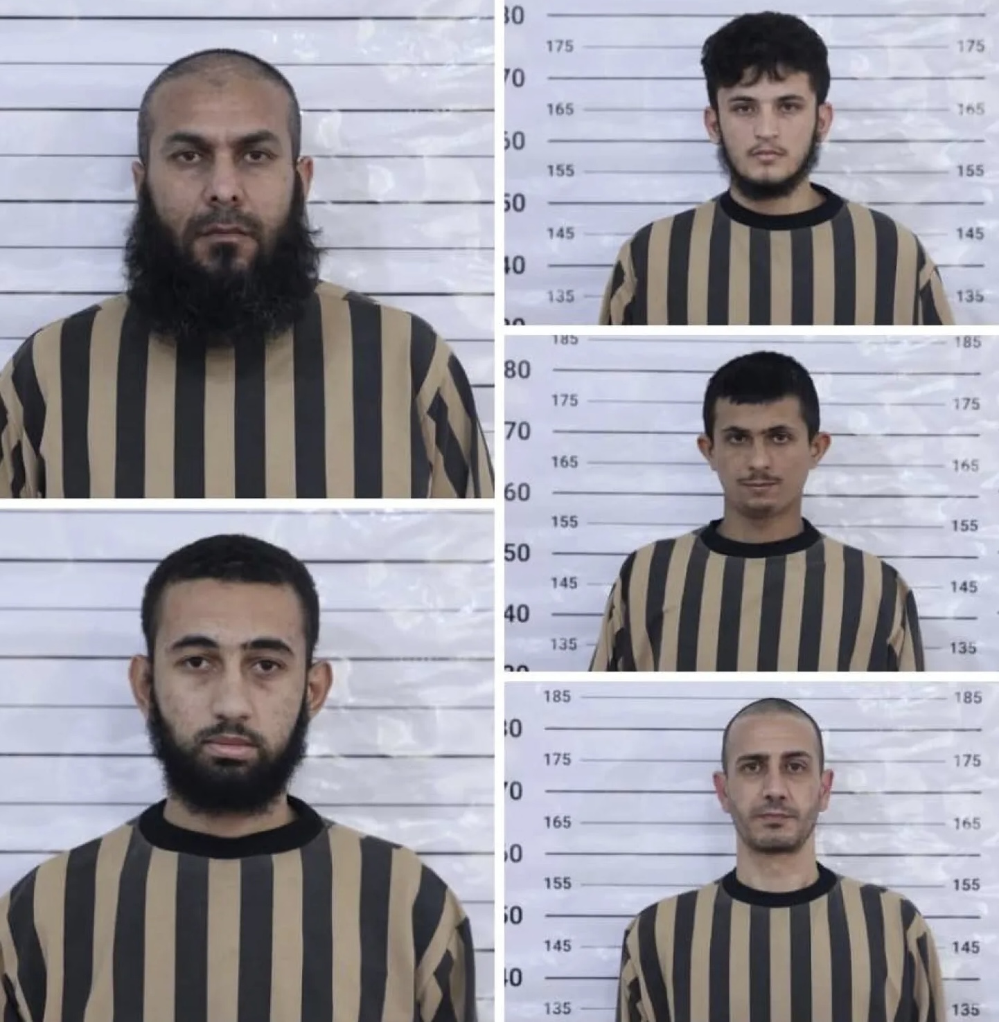 «الداخلية» السورية تقبض على «والي لبنان وفلسطين» في «داعش»