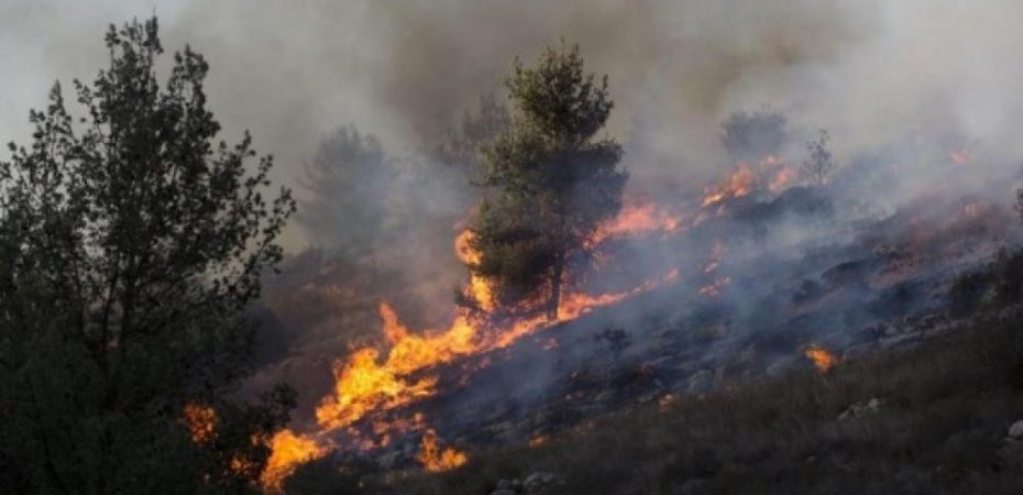 مستوطنون يحرقون أراضي زراعية في قرية المغير