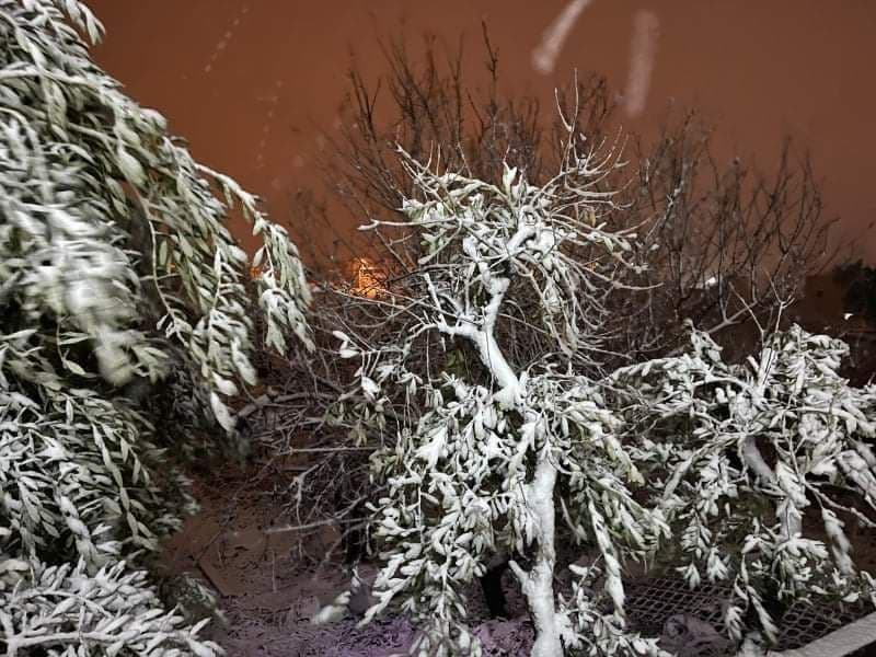 الثلوج في قرية مراح معلا جنوب بيت لحم-