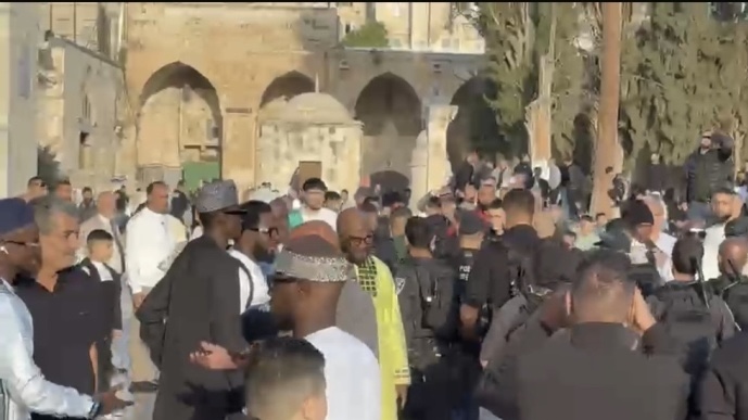 فلسطين – قوات الاحتلال تعتقل سيدة وصحفياً من دائرة الأوقاف في المسجد الأقصى فلسطين – قوات الاحتلال تعتقل سيدة وصحفياً من دائرة الأوقاف في المسجد الأقصى